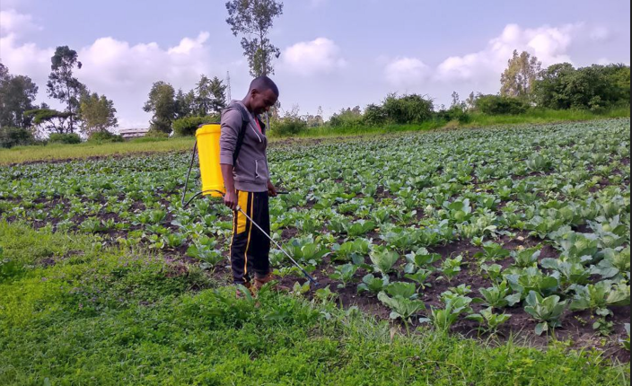 Mefthe Agriculture Hero