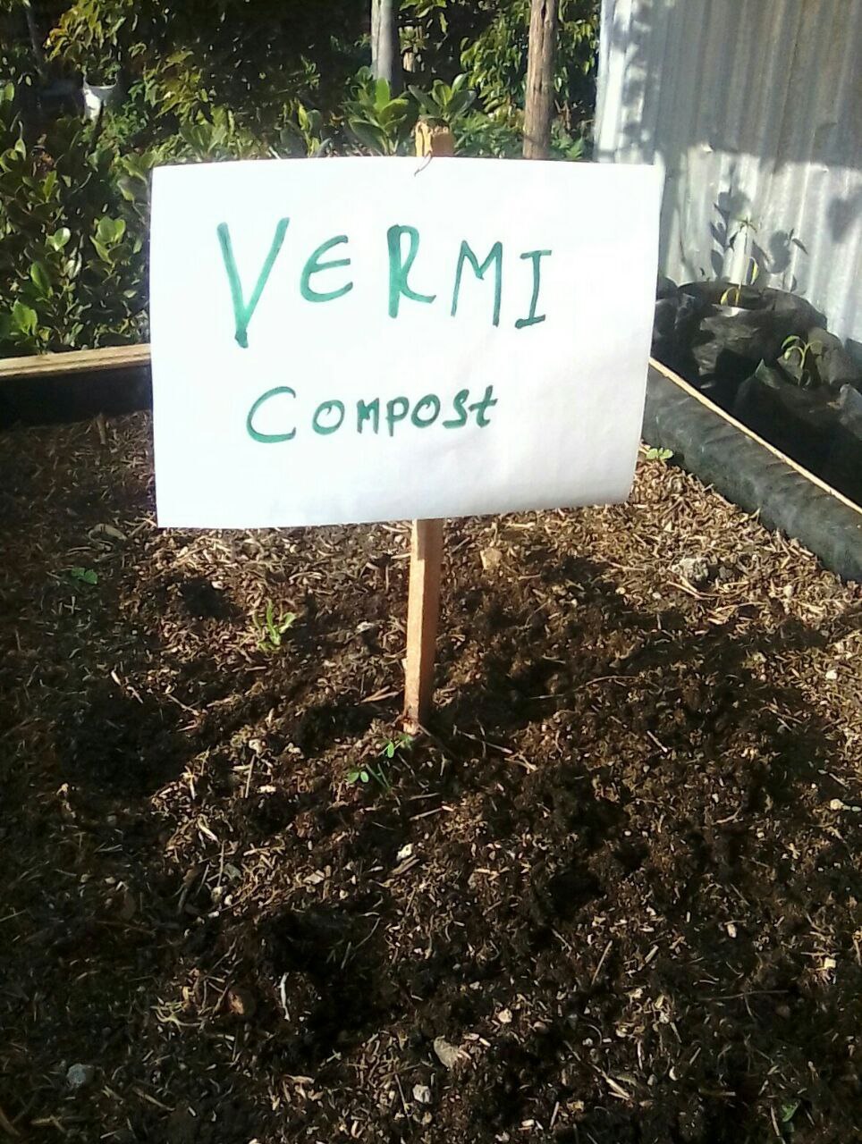 Vermi Compost